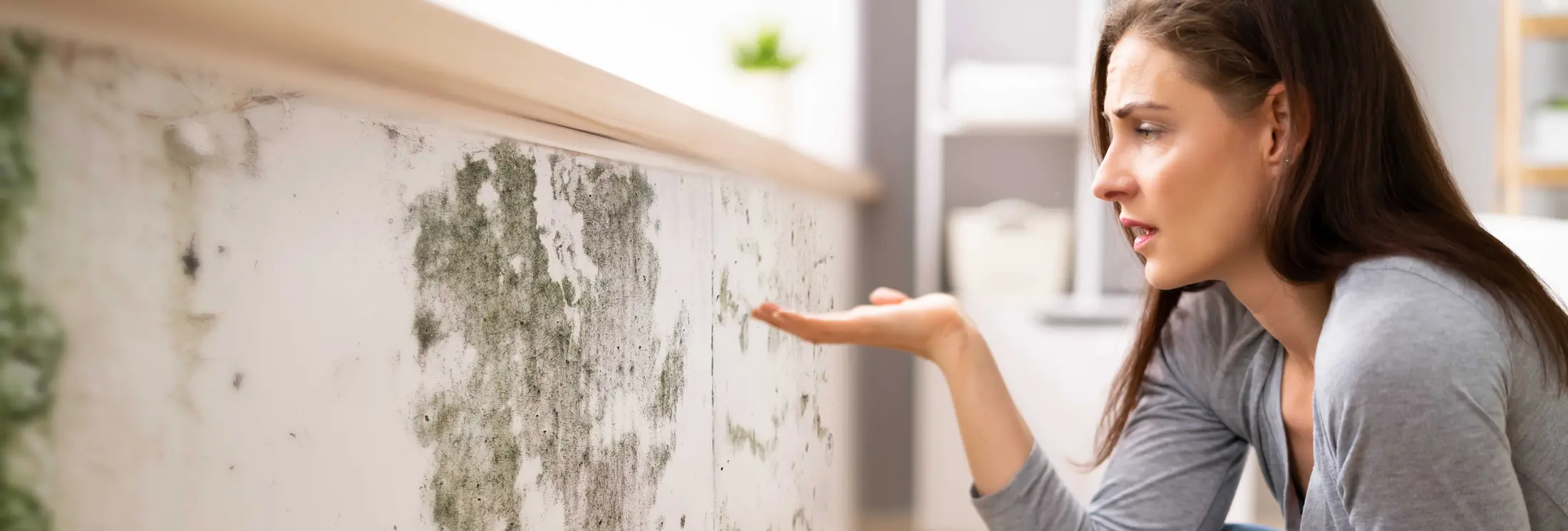 Fallrohrsanierung Düsseldorf Fallrohrsanierung Düsseldorf